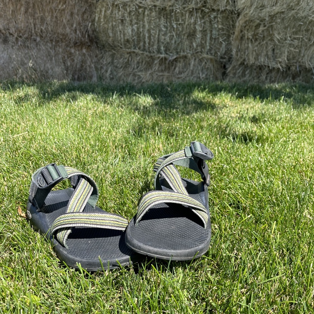Chaco Z1 Yampa Sandal